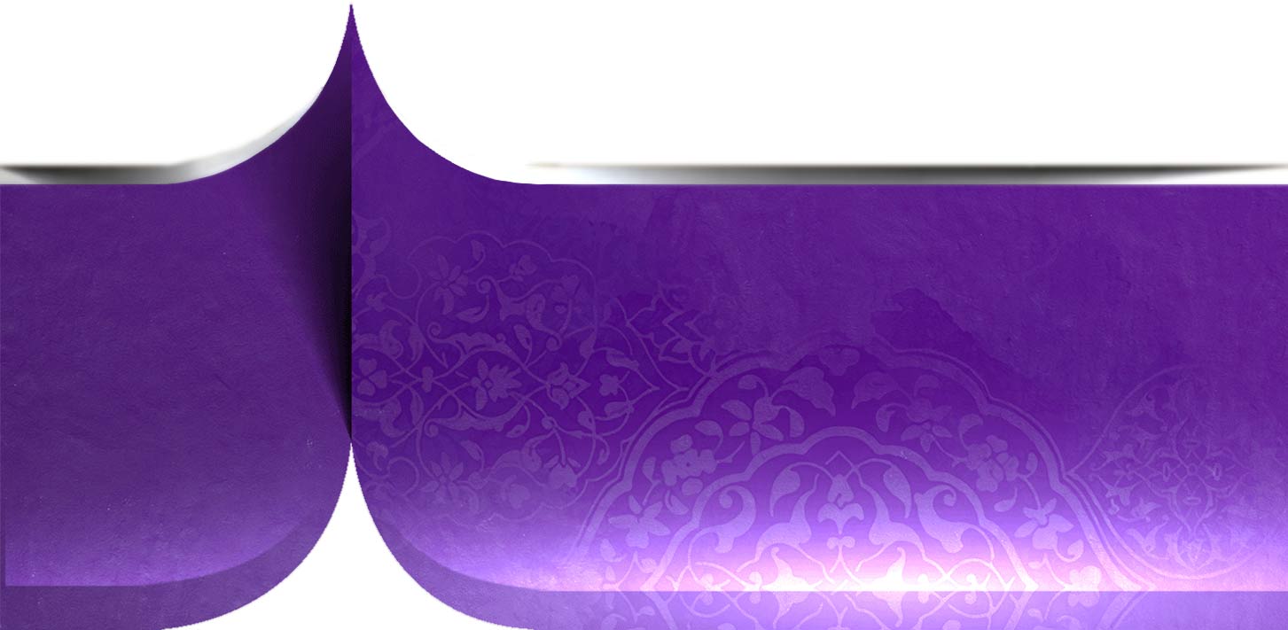 second section bg